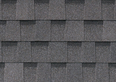 ProLam Pewter Roof Shingles